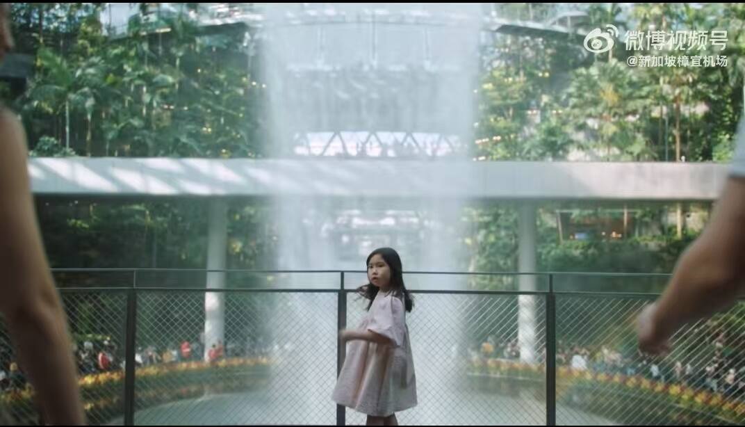 有人在机场无序追星被警方调查 中国驻新加坡大使馆发布提醒