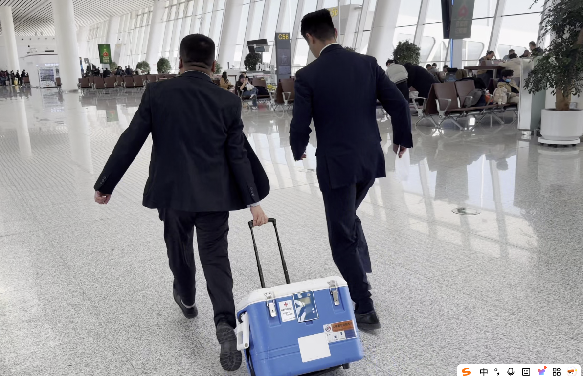 8分钟生命接力——东航甘肃分公司完成首例 C919 执飞航班人体捐献器官运输