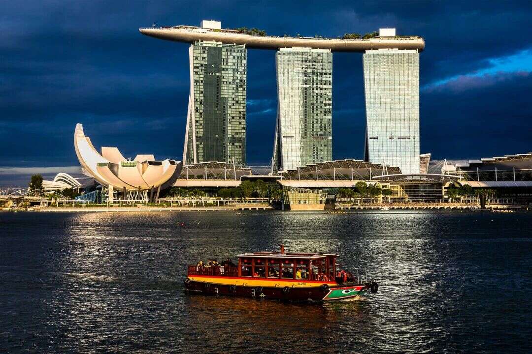 厦航春节新开、增飞多条国际航线