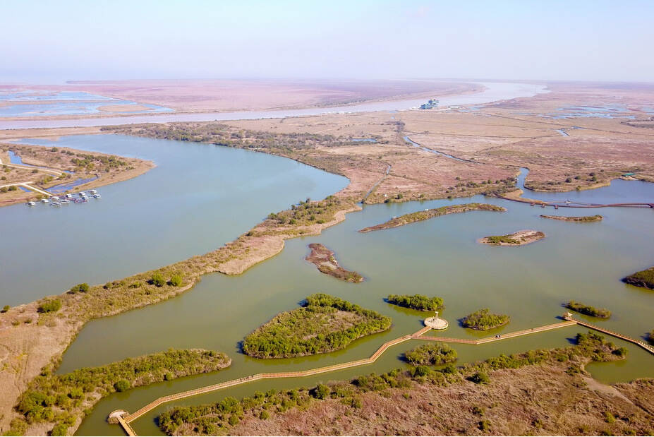 黄河三角洲“禁飞令”： 尊重生命的快速响应