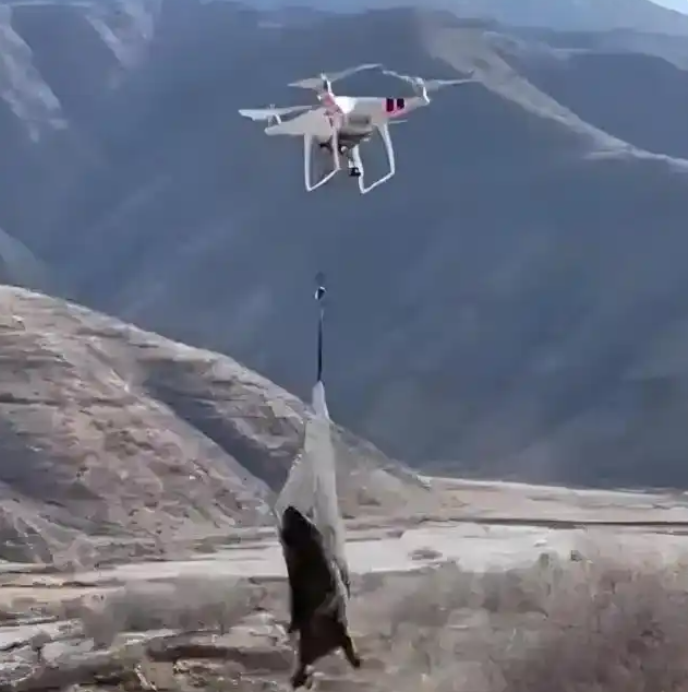 抖音宣布严打“无人机捕猎”等违法违规内容