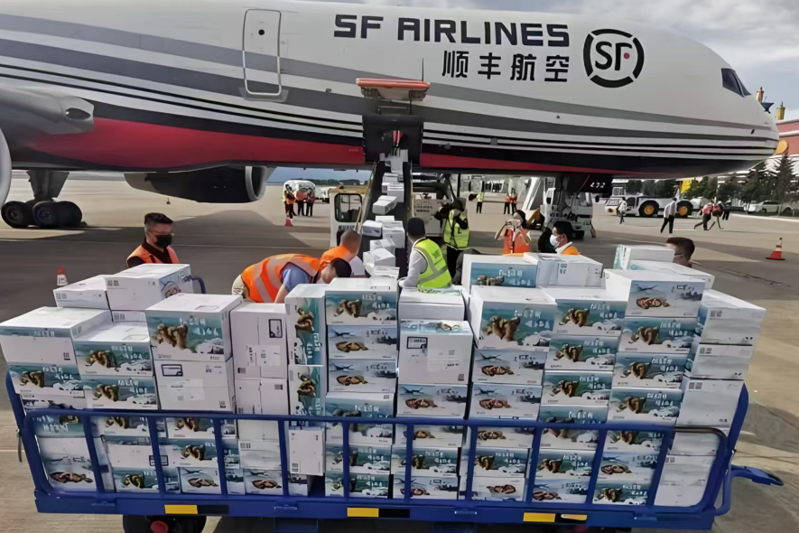 首条松茸全货机航线落地云南迪庆