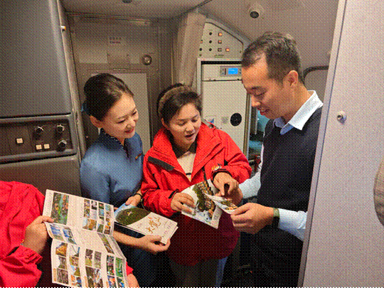 万米高空话文旅！“大觉仙境•乐游抚州”主题航班温暖启航