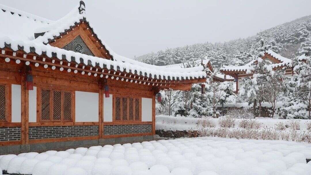 厦航春运新开多条国内航线