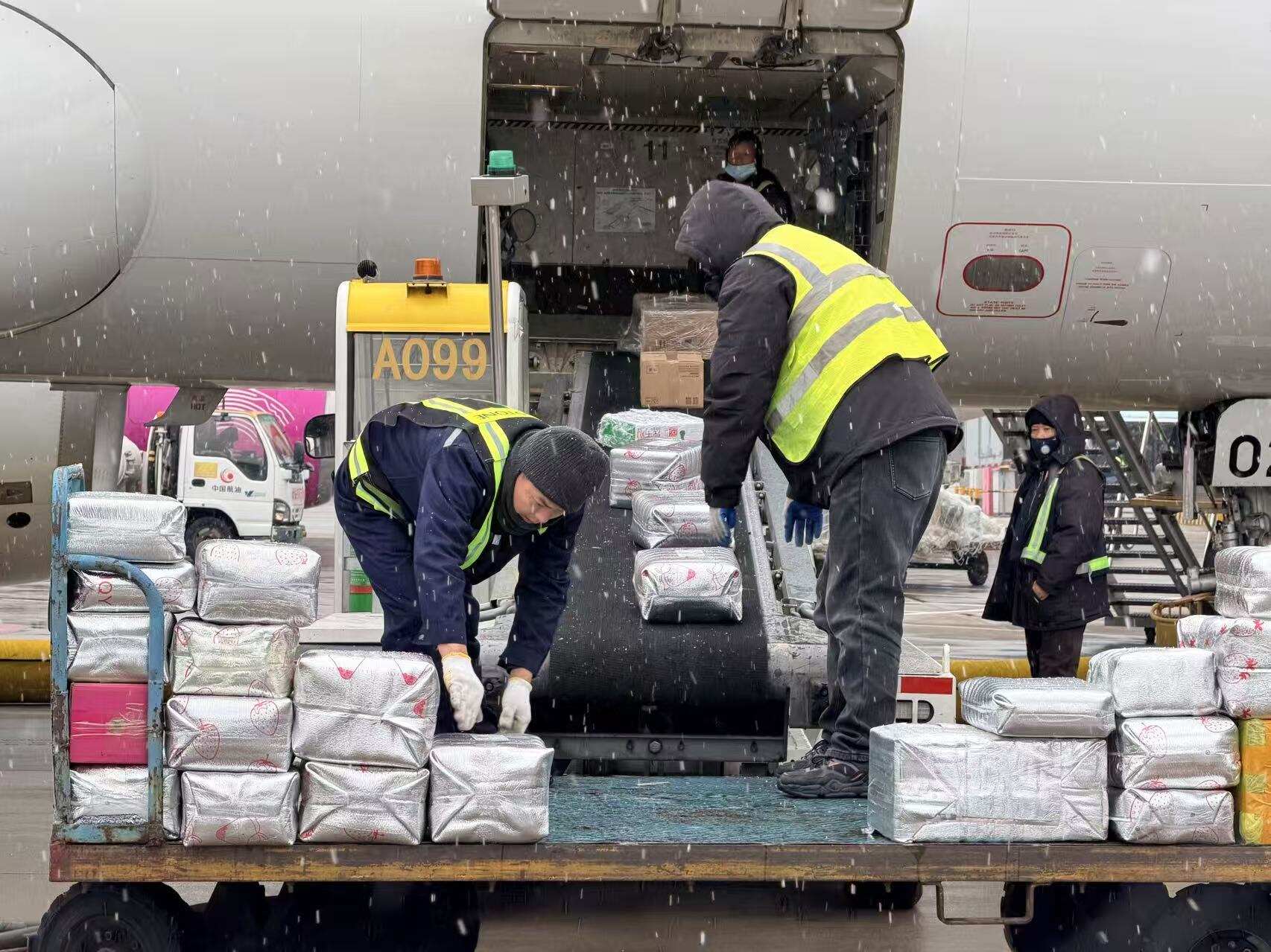 杭州机场多措并举保障大雪天平稳运行