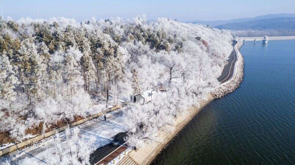 厦航春运加开冰雪航线，带你解锁雪国体验