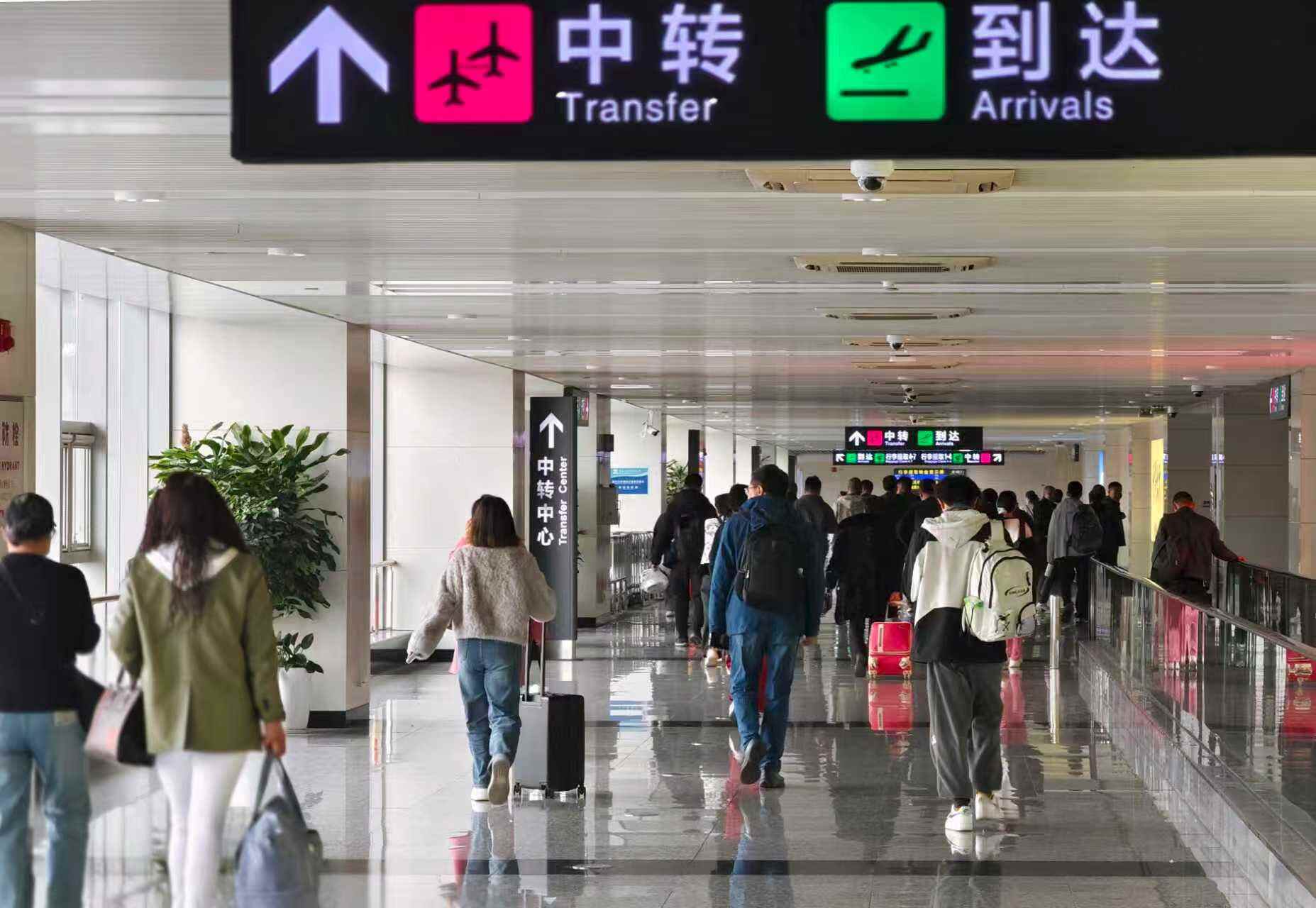 出行无忧：石家庄正定国际机场织密空地交通网  铺就春运舒心路