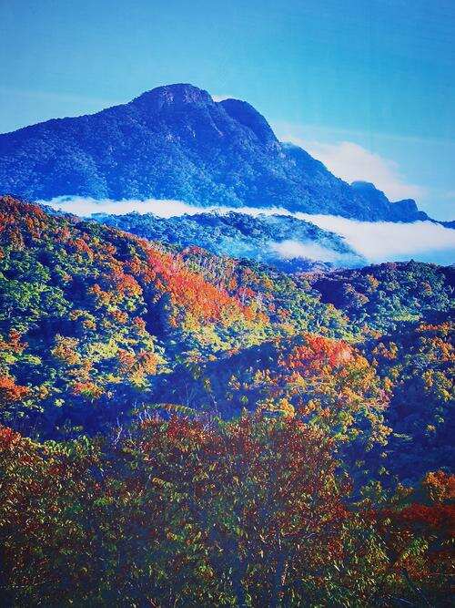 三亚⇌五指山直升机航线验证飞行成功