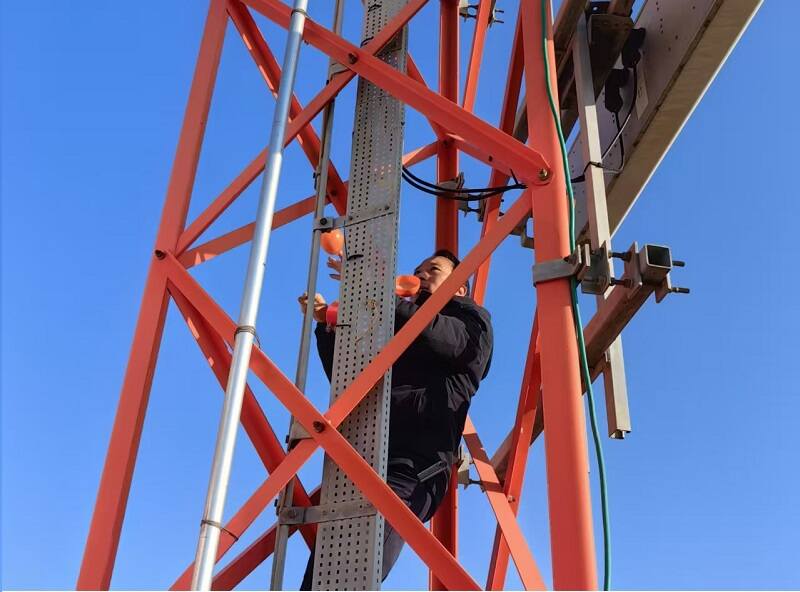 福建空管分局技术保障部春运巡检除鸟巢隐患