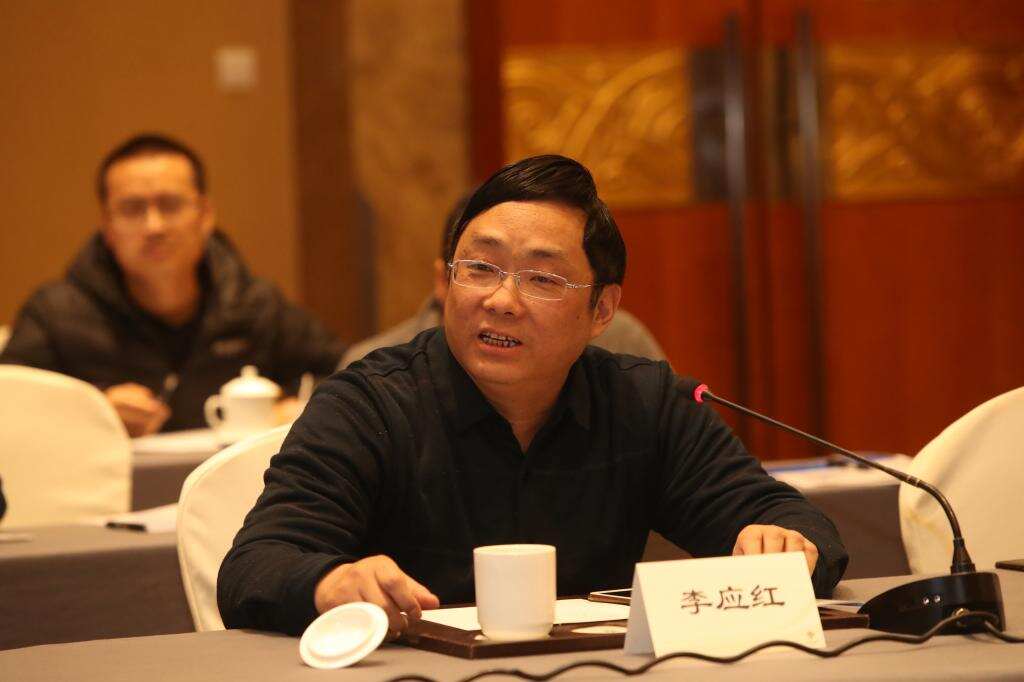 两会话民航 | 李应红委员：把航空救援作为低空经济的重要抓手