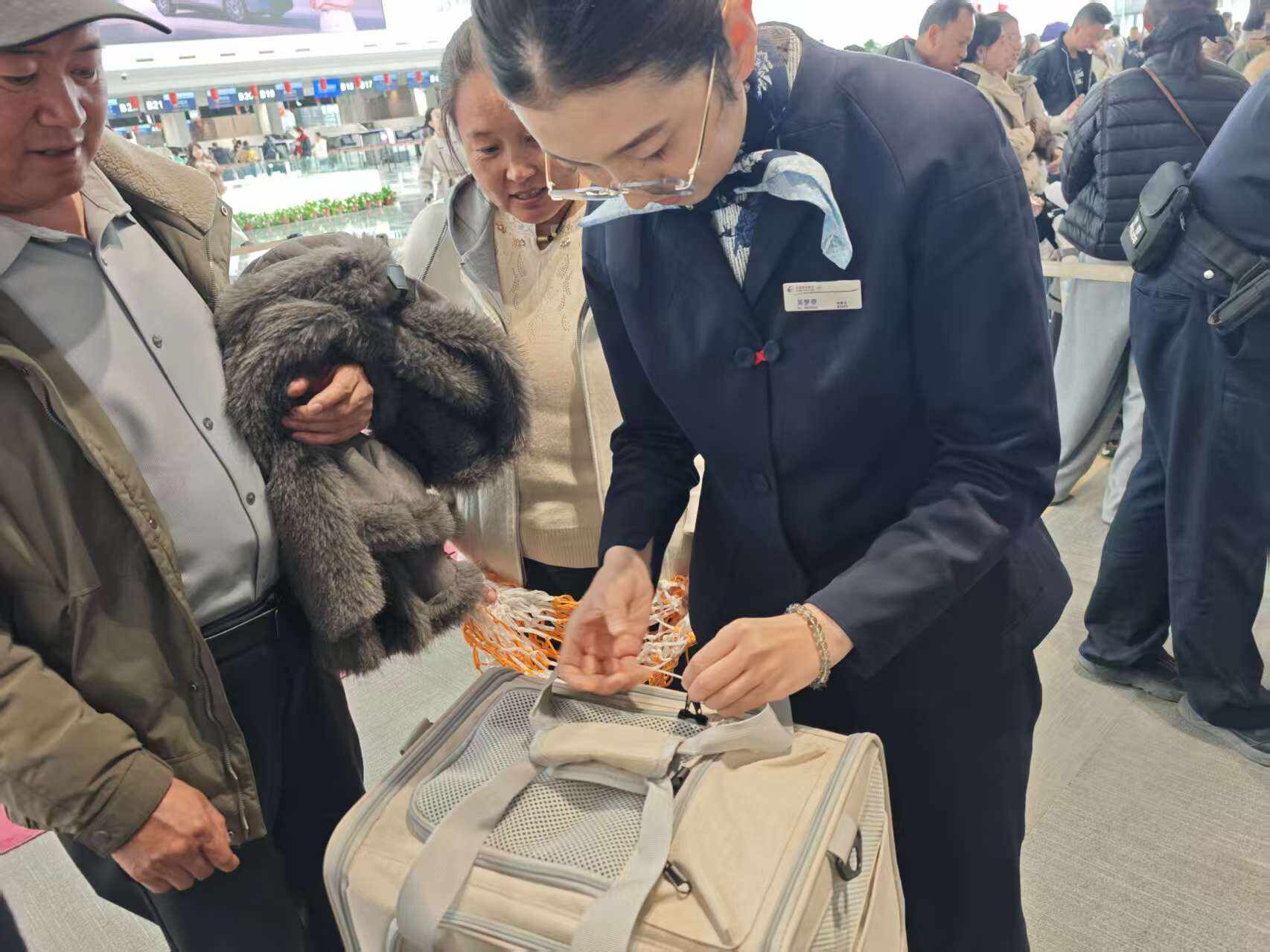 让爱宠陪您飞越云端