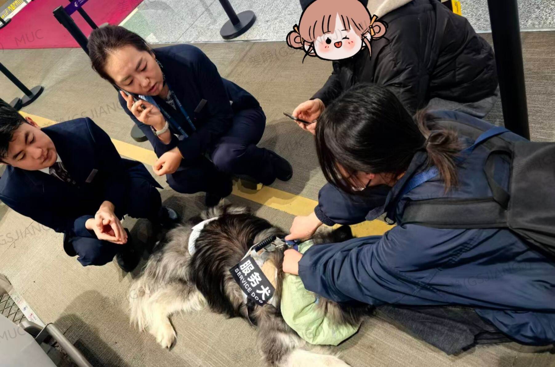 东航甘肃分公司暖心护航特殊旅客