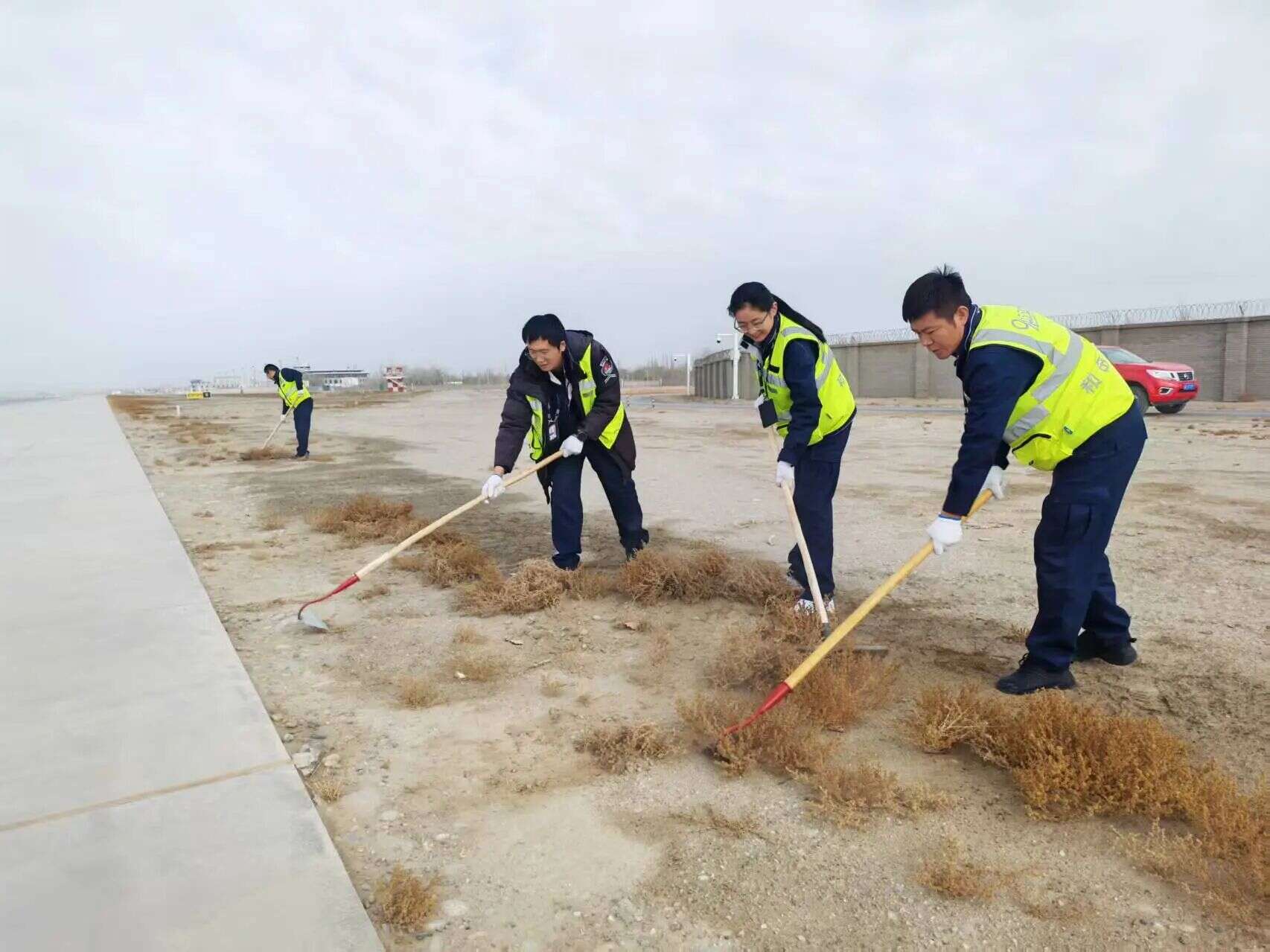 【春季护飞除隐患】新疆机场集团和田昆冈机场开展飞行区人工杂草清除专项工作
