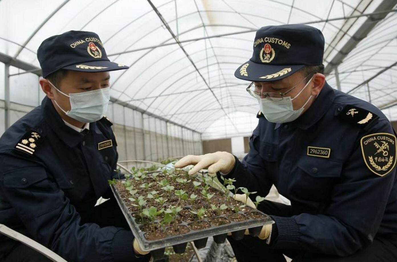 杭州海关开辟春耕物资“绿色通道”