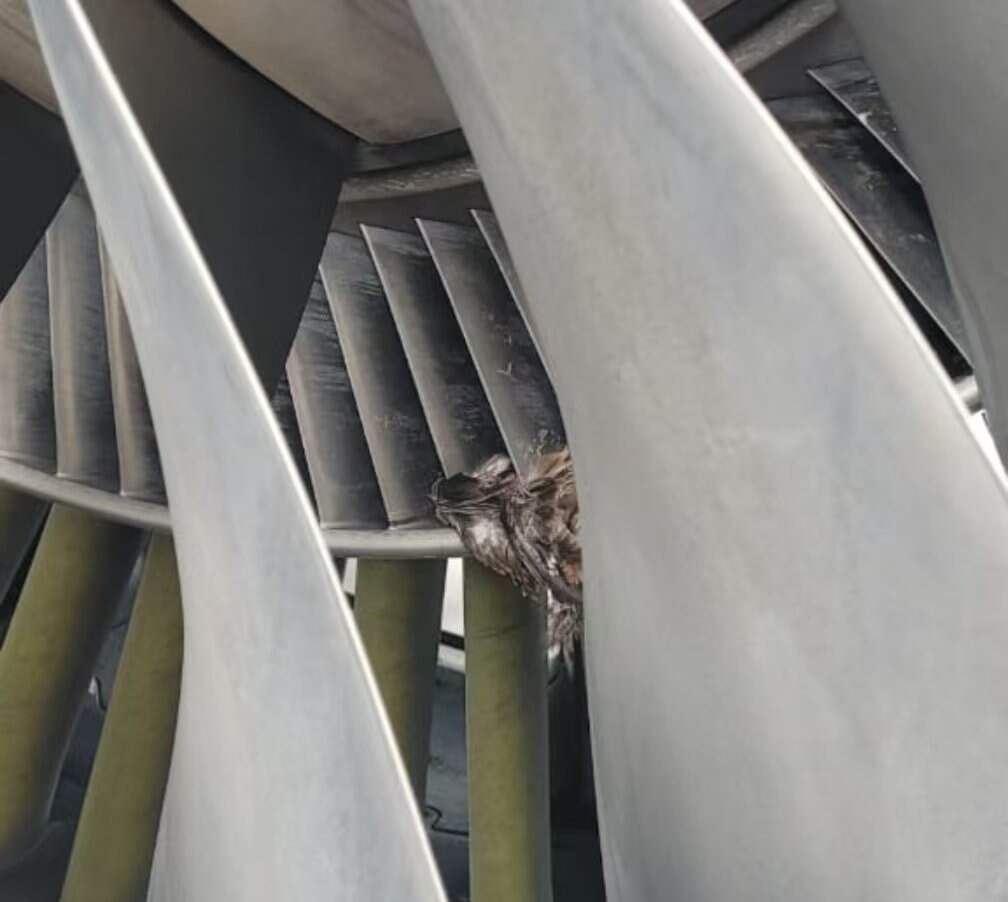 穆尔塔拉·穆罕默德国际机场接连发生事故 导致多个航班中断