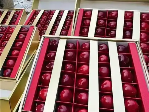 普兰店四平大樱桃航空冷链直供新德里