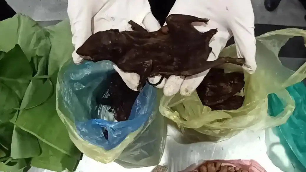 福州机场海关查获老鼠干 旅客称是带给国内亲友的“特产”