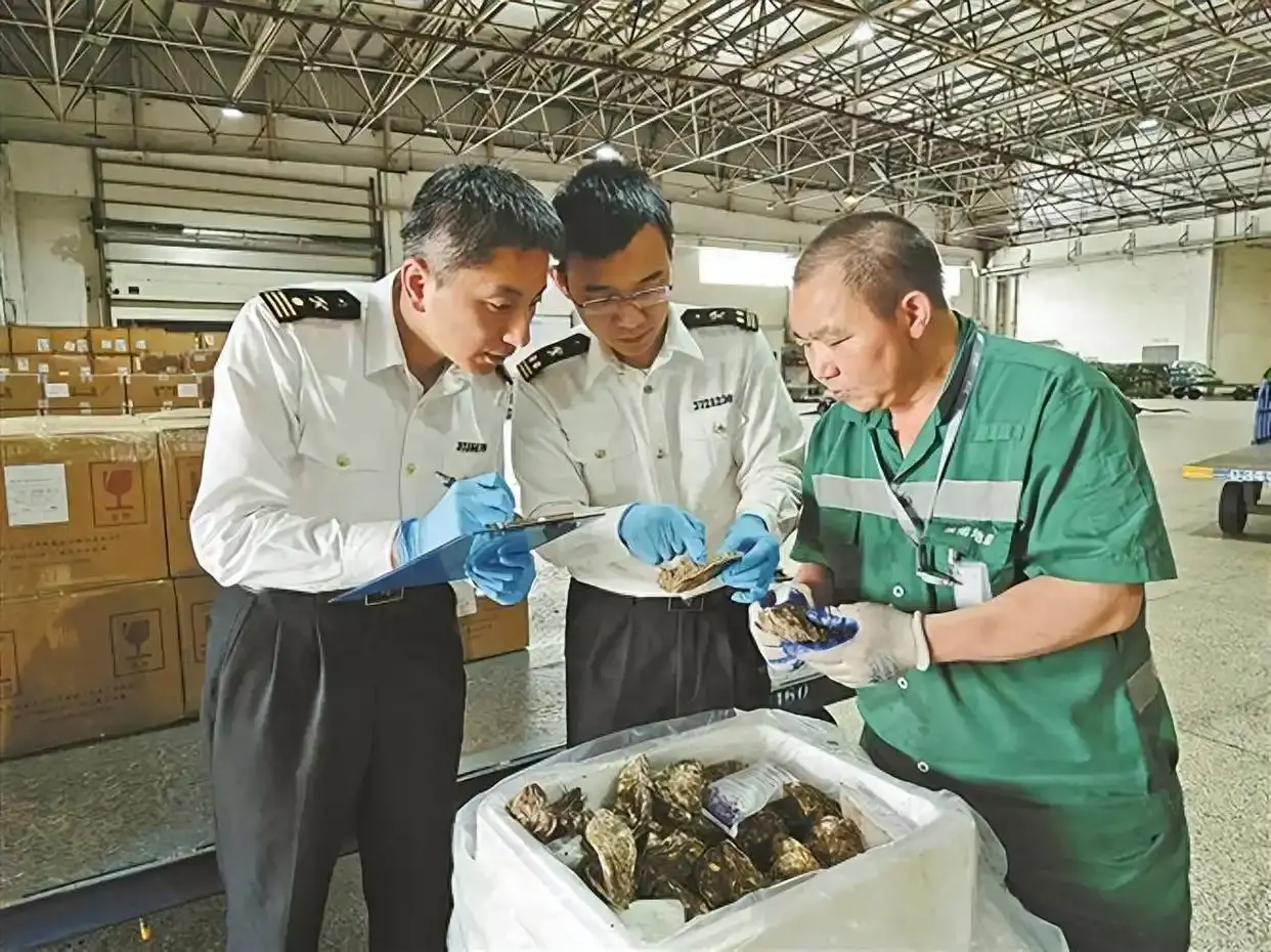 厦门落地首单鲜活水产空空中转 大连生蚝飞赴海外