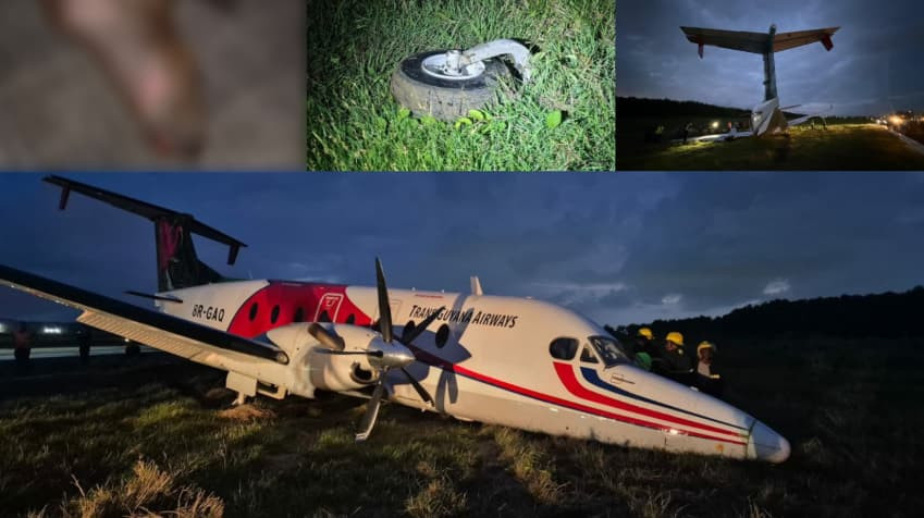 飞机降落时撞死一只“卡皮巴拉”