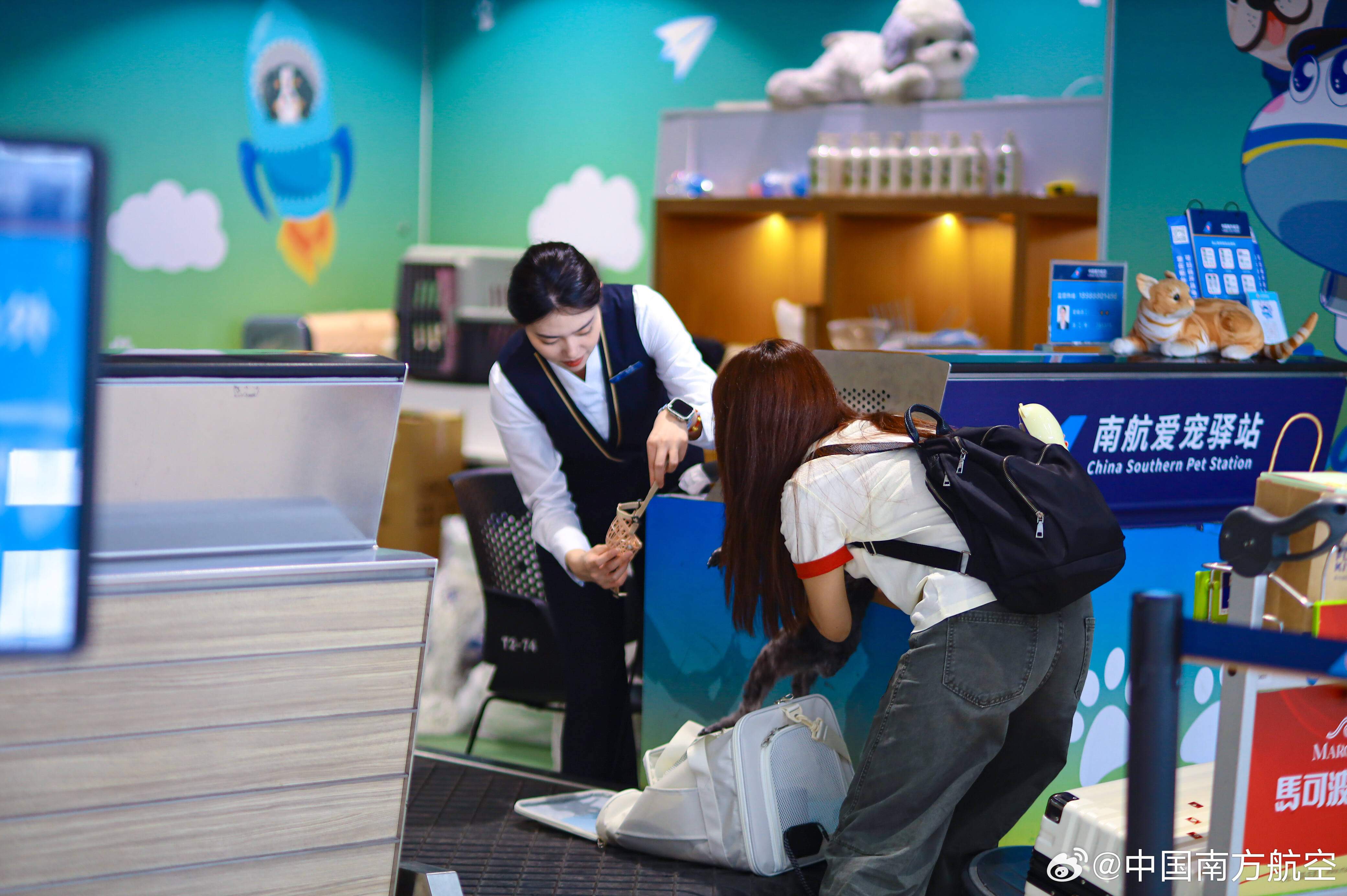 南航“爱宠进客舱”服务拓宽至国内35个 机场站760条航线