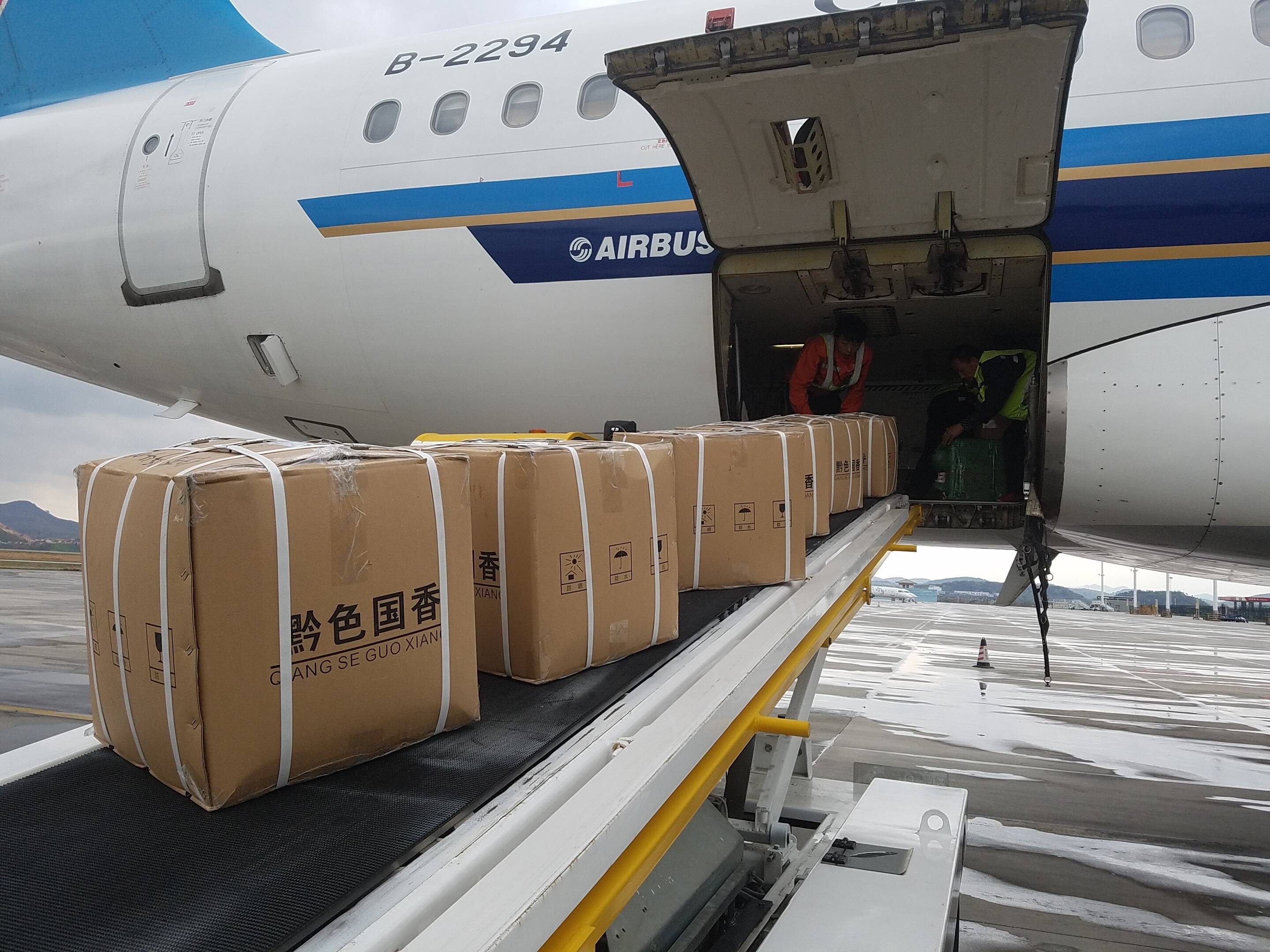 同比增长80%创新高 南航物流助贵州春茶“飞”速出山