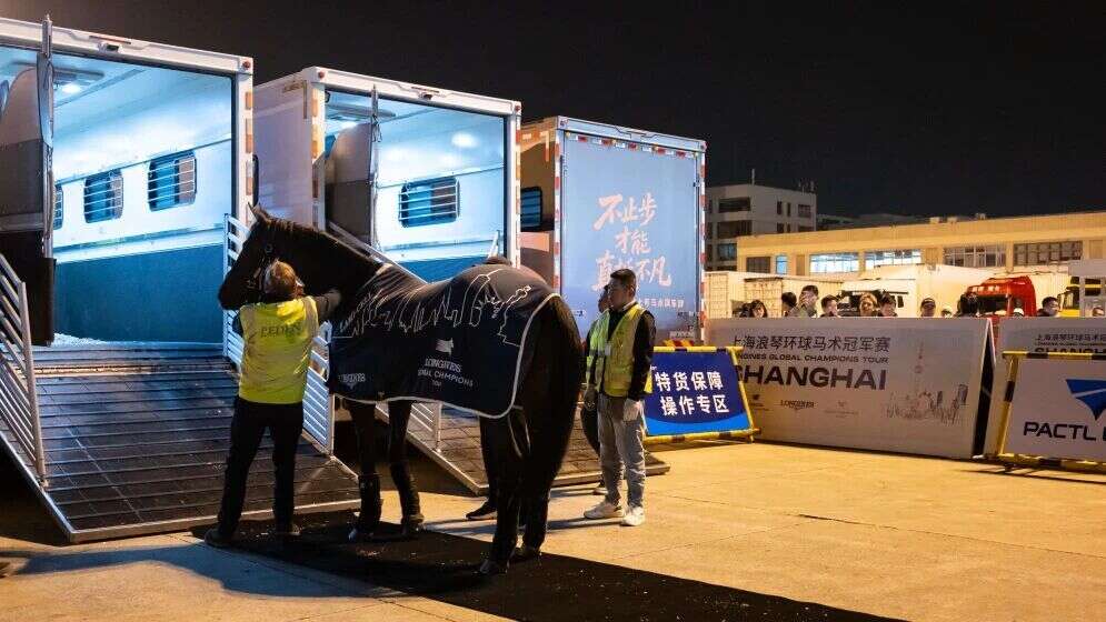 2026上海环球马术冠军赛首批赛马抵沪 上海机场多方联动高效保障运输
