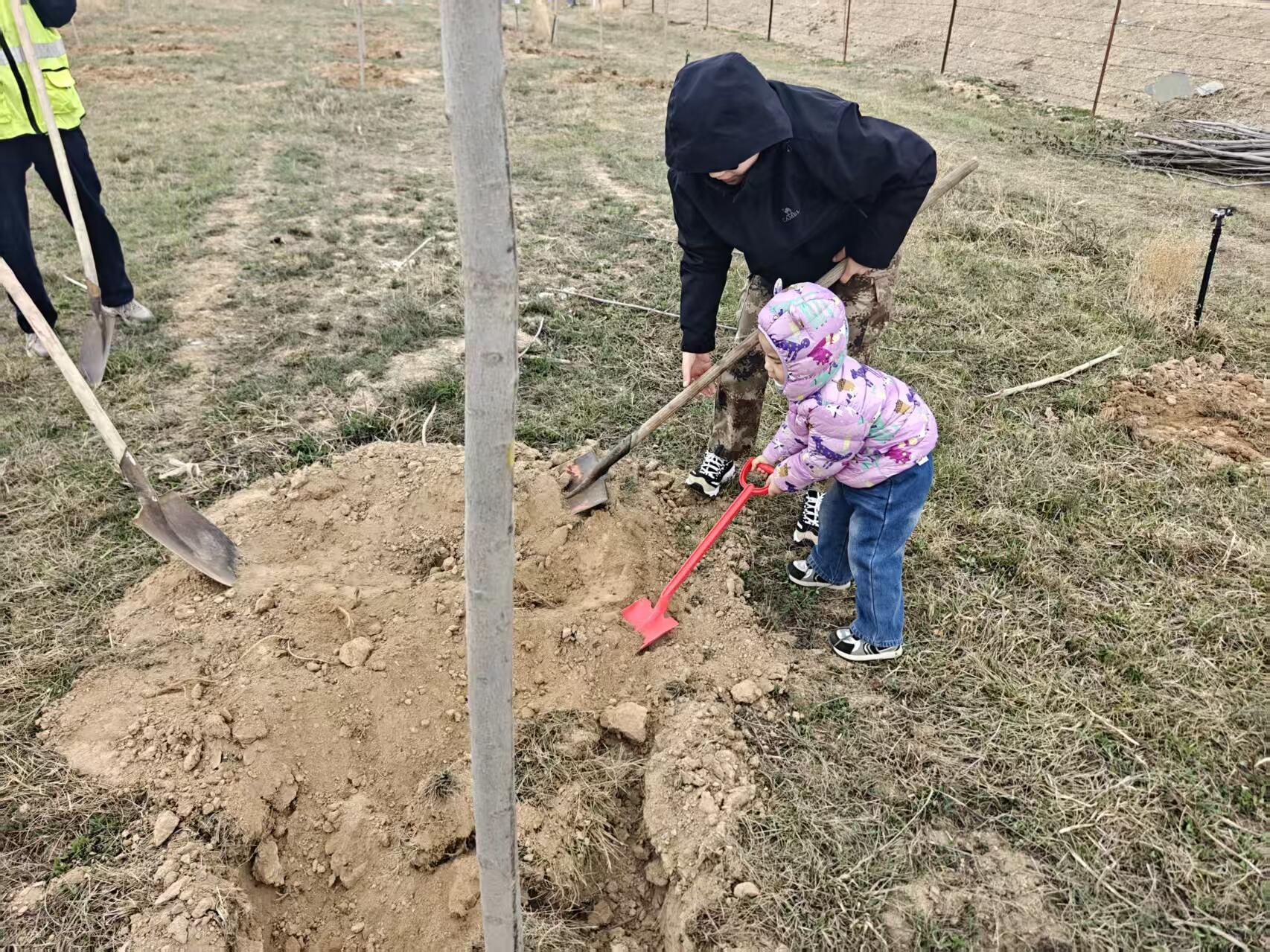 青春添绿空港路 共筑生态新屏障——富蕴可可托海机场团支部开展进场公路植树活动