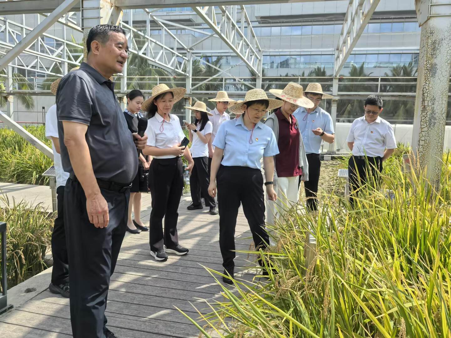 传承五四薪火，党建引领团建，共赴青春之约——三亚空管站、中国科学院深海所、崖州湾国家实验室联合开展五四主题团日活动