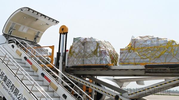 青岛机场打通东南亚鲜果通道 助力榴莲的“极速之旅”