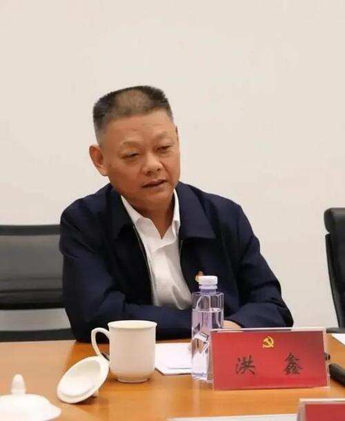 湖南省机场管理集团有限公司原党委委员、副总经理洪鑫，被提起公诉