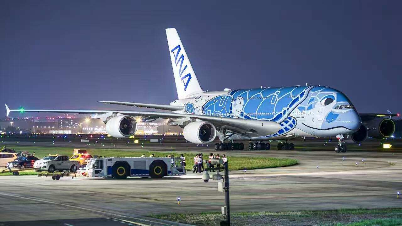 成都迎来海龟涂装A380