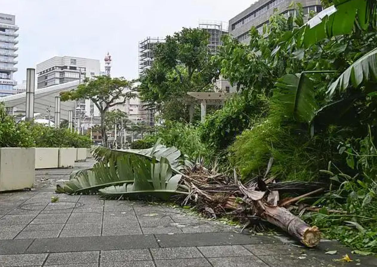 台风“蔷薇”来袭 日本取消数百架次航班