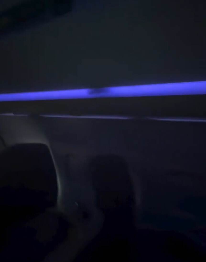 航班惊现老鼠 捷蓝航空公开致歉