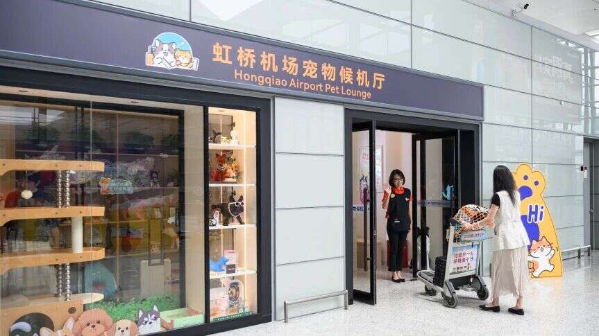 “萌宠同行”服务再升级,虹桥机场启用宠物专属候机厅