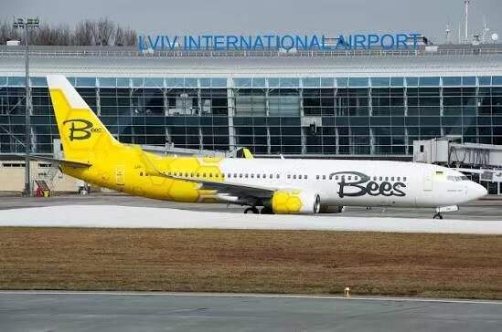 乌克兰蜜蜂航空申请破产