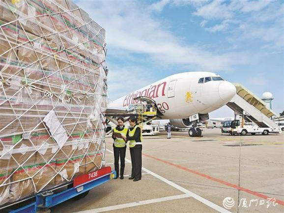厦门空港：打造生鲜货物中转枢纽