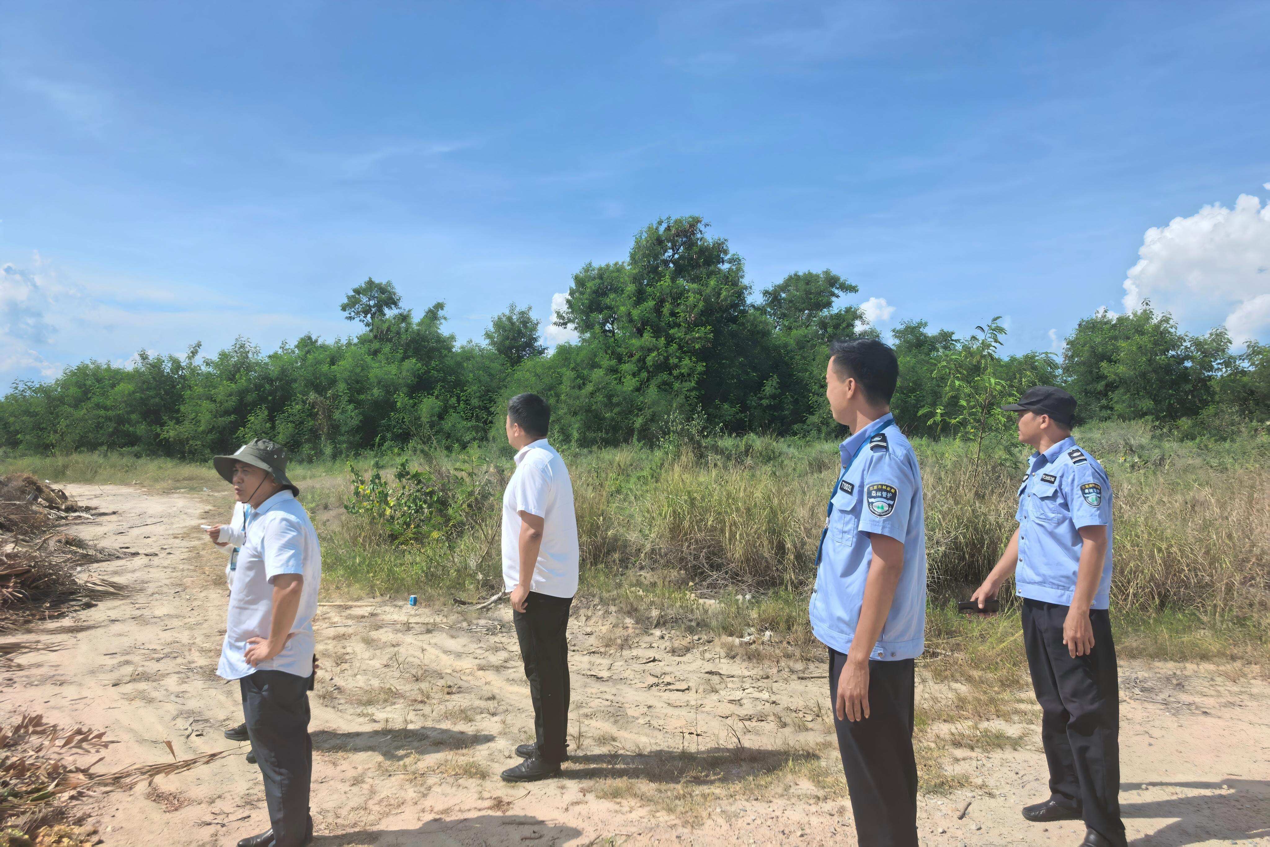 多方联动实地勘察光头岭树障隐患 合力筑牢三亚凤凰机场地面运行安全防线