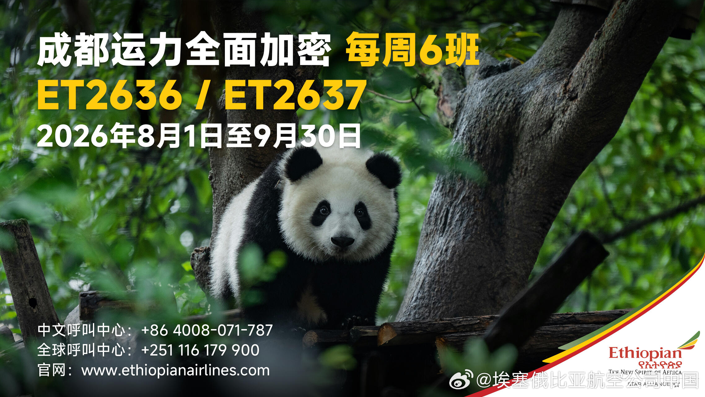 运力升级｜埃塞俄比亚航空成都航线增班