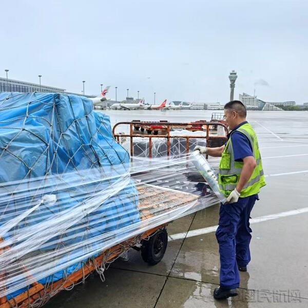 东航物流周密部署迎战台风“白海豚”