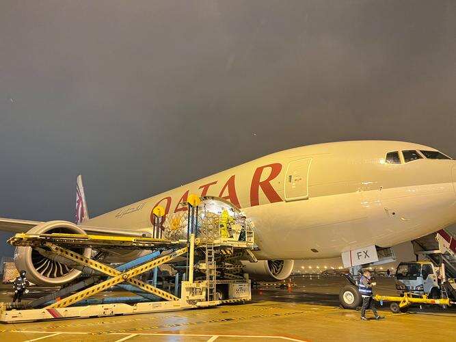 香港机管局与卡塔尔航空货运签署谅解备忘录