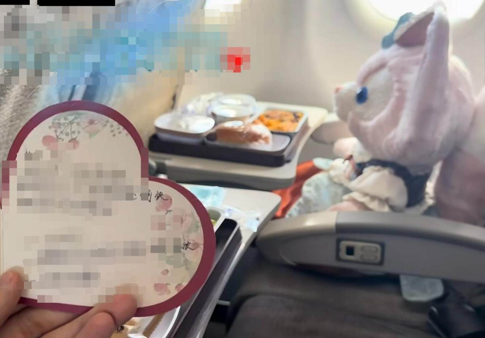 旅客给玩偶买机票出行引热议