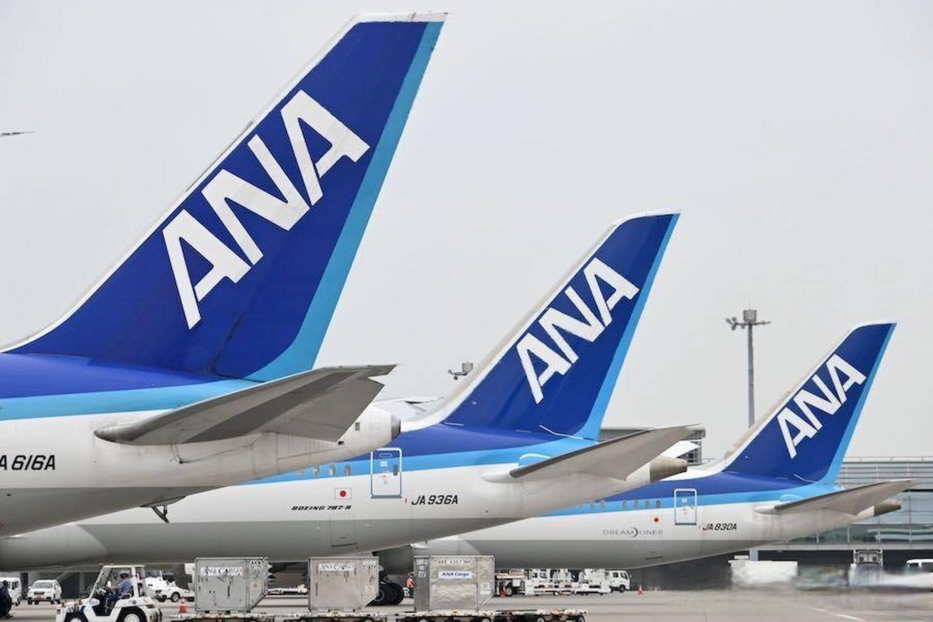 全日空一客机紧急返航