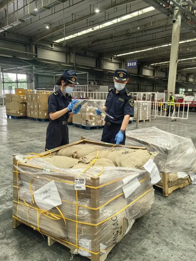 四川首次！厄瓜多尔咖啡生豆空运直达成都