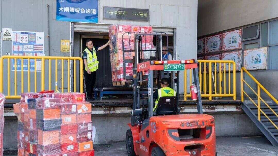 金秋蟹肥，上海机场物流跑出“鲜”速度