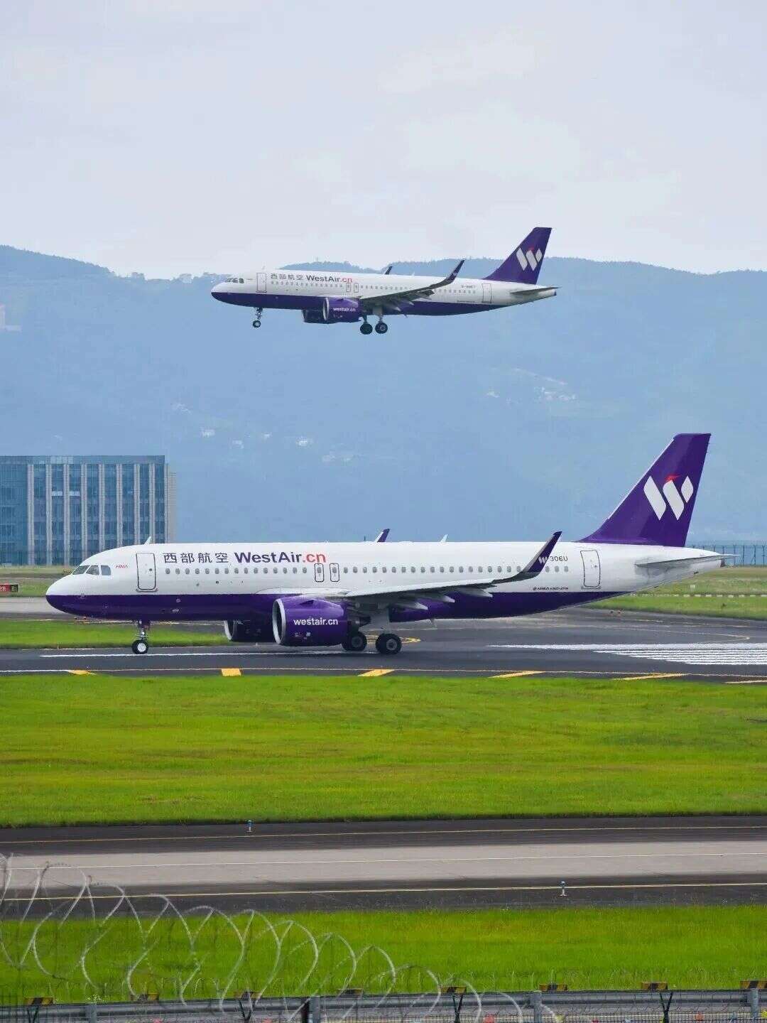 10月25日起 西部航空在渝新开三条航线 含两条独飞航线