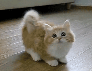 考试前的一个晚上发绩效工资前看到工资条的时候开始思考我为什么要来