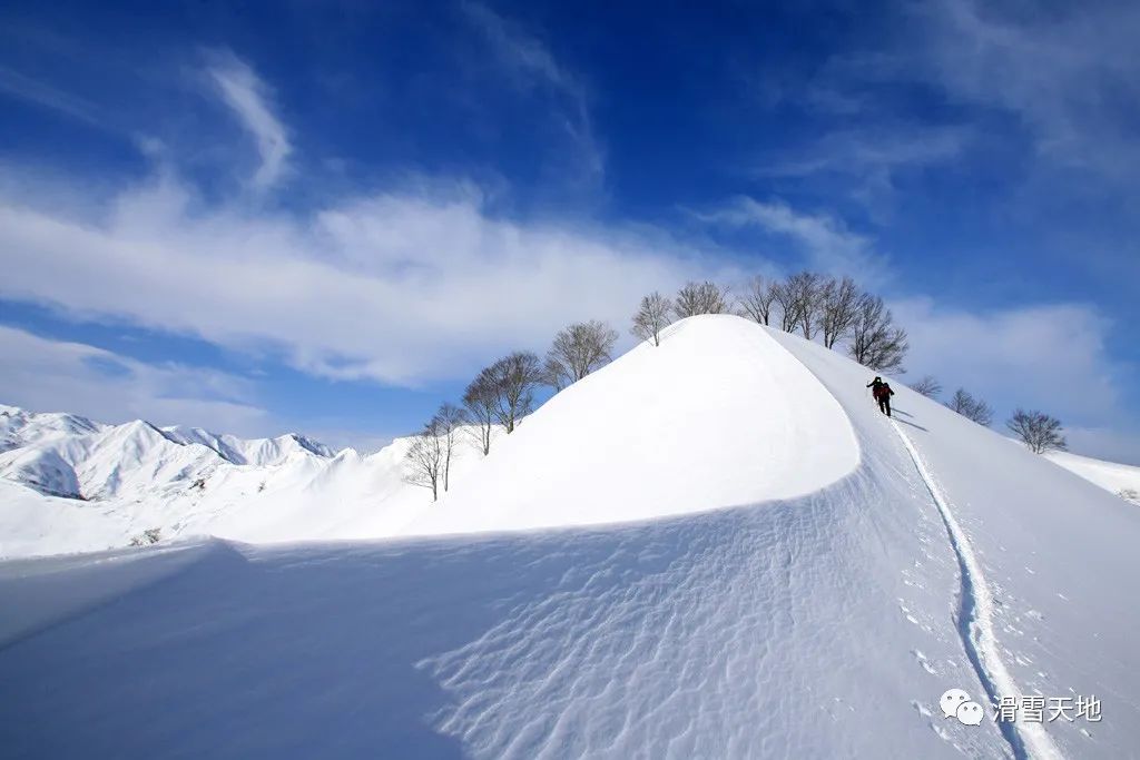 【回顧】日本長野新潟最新滑雪場 – 航旅網